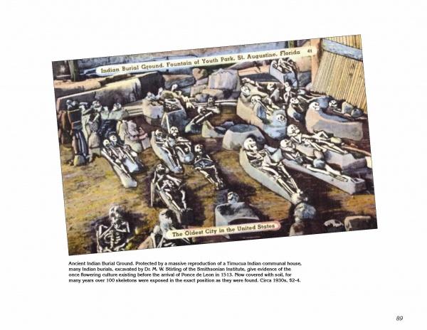Vintage photo of uncovered skeletons at an ancient burial ground in St. Augustine, America’s oldest city—featured in "Greetings from St. Augustine" by Schiffer Publishing, Ltd., evoking classic postcards and the storied past of the Fountain of Youth Park.