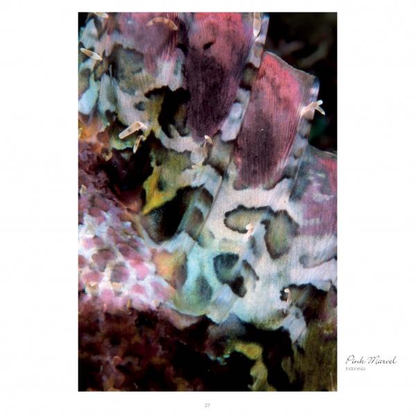 Close-up of a vibrant, camouflaged marine creature blending into its surroundings—a stunning example of underwater photography from "Seaduction" by Schiffer Publishing, Ltd. Photographed by Paula Marvel, Indonesia.