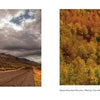 Experience the striking beauty of Eastern Oregon with Schiffer Publishing, Ltd.—winding dirt roads, rolling hills beneath cloudy skies, and vibrant autumn forests evoke the region’s breathtaking wildlife and Painted Hills scenery.