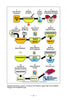 The book "Exploring Sustainable Biodiesel" by Schiffer Publishing, Ltd. features a step-by-step flowchart of small-scale biodiesel production, covering oil processing, methanol blending, reaction, washing, drying, and fuel storage.