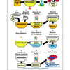 The book "Exploring Sustainable Biodiesel" by Schiffer Publishing, Ltd. features a step-by-step flowchart of small-scale biodiesel production, covering oil processing, methanol blending, reaction, washing, drying, and fuel storage.