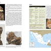uranium and thorium minerals