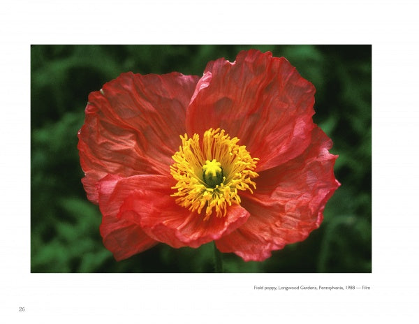 Capture the beauty of nature with "The Art of Flower Photography" by Schiffer Publishing, Ltd., featuring stunning images like a vibrant red field poppy with delicate petals and a bright yellow center against a lush green backdrop.
