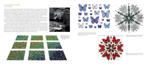 Discover "Inspired by Insects" by Schiffer Publishing, Ltd.—a book spread with Christopher Marley’s photo and bio on the left page, and his vivid insect and butterfly art arranged in bold grids and radial patterns on white backgrounds on the right.