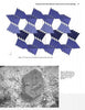 A black-and-white SEM photo displays a fractured Quartz crystal with polygonal faces atop a rough surface, as featured in Schiffer Publishing, Ltd.'s Collector's Guide to Quartz and Other Silica Minerals.