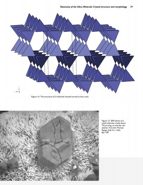 A black-and-white SEM photo displays a fractured Quartz crystal with polygonal faces atop a rough surface, as featured in Schiffer Publishing, Ltd.'s Collector's Guide to Quartz and Other Silica Minerals.