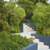 Wide white steps with built-in lights wind through lush Southern California foliage. Framed by clean blue-grey walls, this modern garden design is featured in "Regional Landscape Architecture: Southern California" by Schiffer Publishing, Ltd.