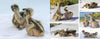 A collage from "Inside an Osprey’s Nest" by Schiffer Publishing, Ltd. shows two fluffy baby birds cuddling and squawking on a white towel during lively nesting season, set against a sunny outdoor backdrop.
