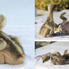 A collage from "Inside an Osprey’s Nest" by Schiffer Publishing, Ltd. shows two fluffy baby birds cuddling and squawking on a white towel during lively nesting season, set against a sunny outdoor backdrop.