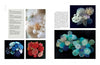 A two-page spread from "Dimensional Cloth" by Schiffer Publishing, Ltd. features vibrant textile sculptures: white, red, and blue-toned pieces on the left page; blue and white floral fiber art with details and descriptions on the right.