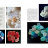A two-page spread from "Dimensional Cloth" by Schiffer Publishing, Ltd. features vibrant textile sculptures: white, red, and blue-toned pieces on the left page; blue and white floral fiber art with details and descriptions on the right.