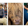 Scenes from the Country Fair by Schiffer Publishing, Ltd. captures classic moments like a boy with a goat, a close-up of a brown cow, and a grand champion lamb at the Carroll County Fair—iconic scenes from American country fairs.