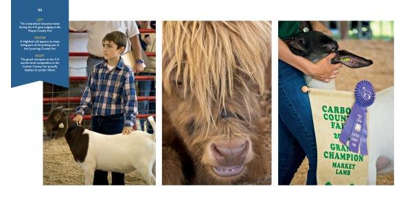 Scenes from the Country Fair by Schiffer Publishing, Ltd. captures classic moments like a boy with a goat, a close-up of a brown cow, and a grand champion lamb at the Carroll County Fair—iconic scenes from American country fairs.