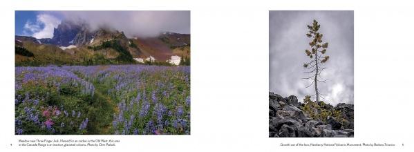 On the left, purple wildflowers bloom beneath snowy peaks near Newberry National Volcanic Monument. On the right, a lone pine stands on rocky ground. From "Central Oregon" by Schiffer Publishing, Ltd.