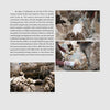 Three photos depict workers at a traditional tannery handling animal hides in pits, highlighting manual leather tanning methods. The images reveal Schiffer Publishing, Ltd.'s Leather product's physical process, with hides soaking in murky liquid.