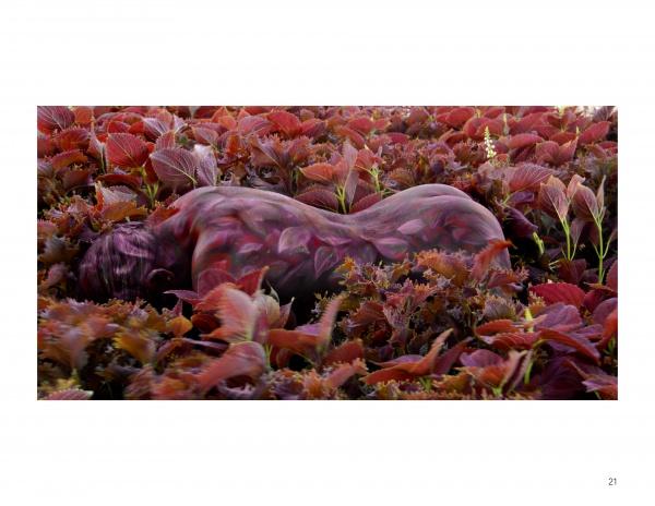 In "Painted Alive" by Schiffer Publishing, Ltd., a person lies face down among dense reddish-brown foliage, their body painted to blend seamlessly with the leaves—an impressive example of contemporary bodypainting.