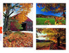 Experience "New England" from Schiffer Publishing, Ltd.—a collage of autumn scenes: a red barn amid colorful leaves, rolling hills, and tree-lined paths with vibrant foliage—showcasing the seasonal beauty of iconic New England landscapes.
