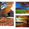 Experience "New England" from Schiffer Publishing, Ltd.—a collage of autumn scenes: a red barn amid colorful leaves, rolling hills, and tree-lined paths with vibrant foliage—showcasing the seasonal beauty of iconic New England landscapes.