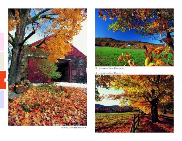 Experience "New England" from Schiffer Publishing, Ltd.—a collage of autumn scenes: a red barn amid colorful leaves, rolling hills, and tree-lined paths with vibrant foliage—showcasing the seasonal beauty of iconic New England landscapes.