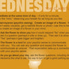 A golden-yellow graphic titled "Wednesdays 'The Clairs' Day" highlights Schiffer Publishing, Ltd.'s "Build Your Psychic Skills," offering a 90-Day Plan with meditation, clairvoyance exercises, intuitive decision-making, and unique activities.