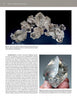 The Collector’s Guide to Herkimer Diamonds by Schiffer Publishing, Ltd. features clusters of clear, faceted Herkimer diamonds displayed above a large quartz crystal—ideal for mineral collectors.