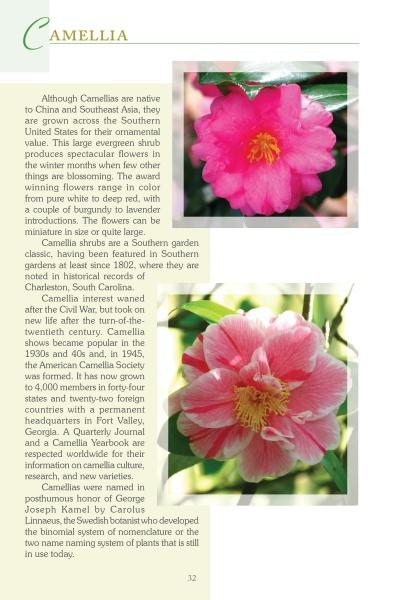 Discover Atlanta's Garden Plants by Schiffer Publishing, Ltd., featuring vibrant Camellia photos, history, and gardening tips, inspired by the Atlanta botanical guide—ideal for north Georgia flora lovers.