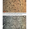 Two microscope images of steel samples from "Japanese Knife Sharpening" by Schiffer Publishing, Ltd.: the top shows small, round carbides; the bottom shows irregular clusters. Captions explain steel type and treatment, key to knife performance.