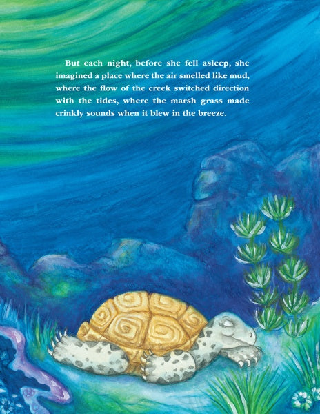 A diamondback terrapin with a yellow shell naps underwater in Chesapeake Bay, beside rocks and plants. Above, white text says “Jemma’s Got the Travel Bug,” the charming children's book from Schiffer Publishing, Ltd.