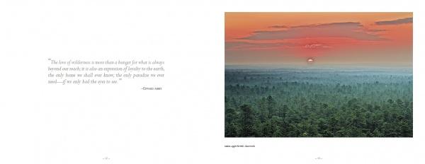 A dense forest extends to the horizon at sunset, casting an orange-green glow over the Pine Barrens. “Pinelands” by Schiffer Publishing, Ltd. displays text beside striking New Jersey photography, capturing the region’s natural beauty.