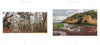 Two landscape photos from "Back Roads of Southern California" by Schiffer Publishing, Ltd.: a winding road in Sequoia National Park on the left and a rocky coastal scene with cliffs and tidal pools on the right, both under cloudy skies.