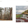 Two landscape photos from "Back Roads of Southern California" by Schiffer Publishing, Ltd.: a winding road in Sequoia National Park on the left and a rocky coastal scene with cliffs and tidal pools on the right, both under cloudy skies.