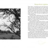 Black and white photo of Tawas Point Lighthouse with grass and trees in front. Right side shows a Michigan map featuring lighthouses and birding hotspots plus lighthouse details. Product: Birds and Beacons of Michigan by Schiffer Publishing, Ltd.