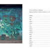 Beijing Graffiti by Schiffer Publishing, Ltd. features a vibrant mural with green and blue tones, stylized letters, and a hoodie-clad character, alongside a contents page listing names and page numbers.