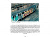 The book "New York Subway Graffiti" by Schiffer Publishing, Ltd. showcases vintage graffiti art on subway trains amid urban tracks and concrete walls, capturing scenes reminiscent of rare photographs of the NYC subway.