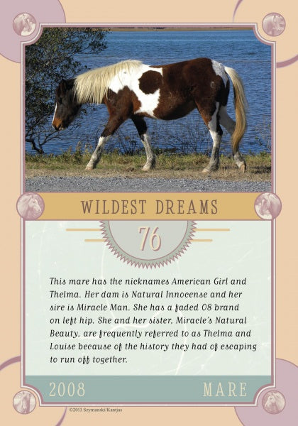 A brown and white paint mare grazes by a lake, identified as Wildest Dreams on Schiffer Publishing’s Chincoteague Pony Identification Card, with info on her 2008 birth, lineage, nicknames, and escapes with her sister.
