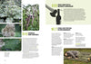 A magazine spread on wilderness skills showcases foraging wild plants, a wine bottle opening hack, outdoor survival tips, and marksmanship stances—all featured in The Global Outdoor Survival Guide by Schiffer Publishing, Ltd.