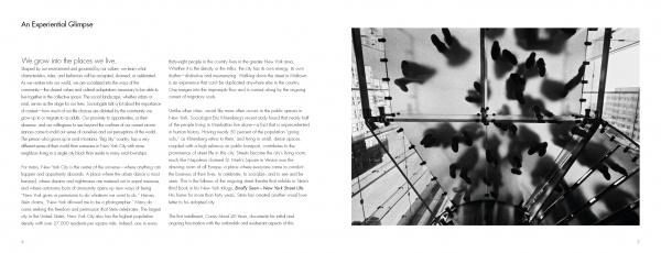A black-and-white photo, reminiscent of Harvey Stein, shows feet silhouetted on glass from below. Text under "An Experiential Glimpse" appears on the left. From Briefly Seen by Schiffer Publishing, Ltd., in the style of NYC street photography.