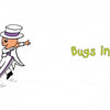 Illustration of two cheerful cartoon bugs tap dancing—one in a purple dress and bow, the other in a white suit and top hat. A fun Schiffer Publishing, Ltd. picture book titled "Bugs in Shoes," with the title in green text on the right.