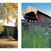 Timeless Crossings" by Schiffer Publishing, Ltd. features an autumn path leading to a forest and a rustic wooden covered bridge over a river amid Vermont’s rural charm, surrounded by tall grass beneath a clear sky.