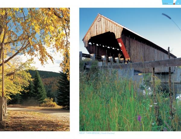 Timeless Crossings" by Schiffer Publishing, Ltd. features an autumn path leading to a forest and a rustic wooden covered bridge over a river amid Vermont’s rural charm, surrounded by tall grass beneath a clear sky.