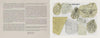 Classic Tattoo Stencils by Schiffer Publishing, Ltd. features a two-page spread: dense text on classic American tattoos on the left, and nine vintage stencils—eagles, flags, roses, anchors, “U.S.A.” lettering—on the right.