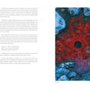 A spread from "The Experience of Modern Sculpture" by Schiffer Publishing, Ltd. features text on the left and a photo on the right of bright red autumn leaves in a circle on a pond, framed by gray rocks and blue water.