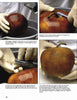 Four step-by-step images from "Gourd Art Basics" by Schiffer Publishing, Ltd. show gloved hands cleaning a brown gourd’s stem area with water, a toothbrush, and scrubber to remove debris—perfect preparation for crafts or gourd book projects.