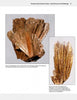 Discover the secrets of pyroxene minerals with "Collector's Guide to the Pyroxene Group" from Schiffer Publishing, Ltd.—an essential resource for any mineral enthusiast or collector.
