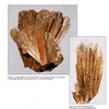 Discover the secrets of pyroxene minerals with "Collector's Guide to the Pyroxene Group" from Schiffer Publishing, Ltd.—an essential resource for any mineral enthusiast or collector.