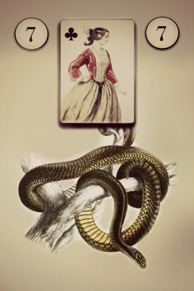 The Lenormand Oracle Cards by Schiffer Publishing, Ltd. feature a 7 of clubs with vintage art: a woman above a coiled snake on a branch. The number 7 appears in circles in both top corners—ideal for card collectors.