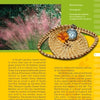 A page from Coastal Garden Plants by Schiffer Publishing, Ltd. shows a coiled sweetgrass basket with a glass marble on a woven mat, set against a green and yellow background, and discusses sweetgrass history, uses, and identification along the southeastern US coast.
