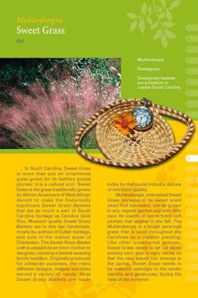 A page from Coastal Garden Plants by Schiffer Publishing, Ltd. shows a coiled sweetgrass basket with a glass marble on a woven mat, set against a green and yellow background, and discusses sweetgrass history, uses, and identification along the southeastern US coast.