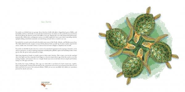 A spread from *Nature Mandalas Wonders of the Earth, Wind, and Sea* by Schiffer Publishing, Ltd. shows text about sea turtles on the left and five green sea turtles forming a mandala on a light blue-green background on the right.