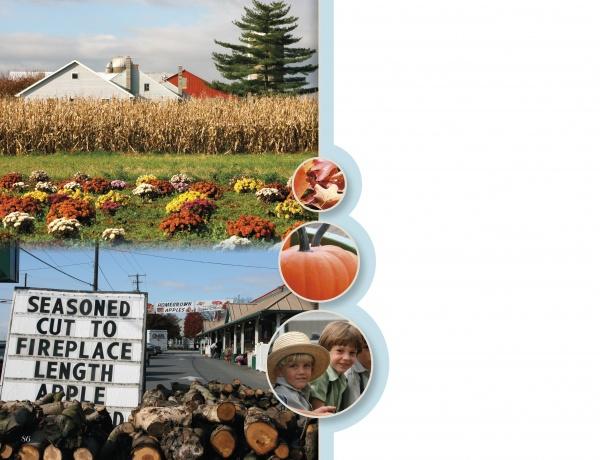 Lancaster County: Out and About by Schiffer Publishing, Ltd. captures an autumn rural scene—farm, cornfield, fall flowers, apples, pumpkins, firewood for sale, and two children at a market—perfect for fans of Lancaster County's Amish charm.